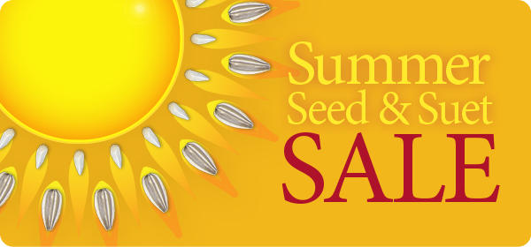 Summer Seed & Suet Sale